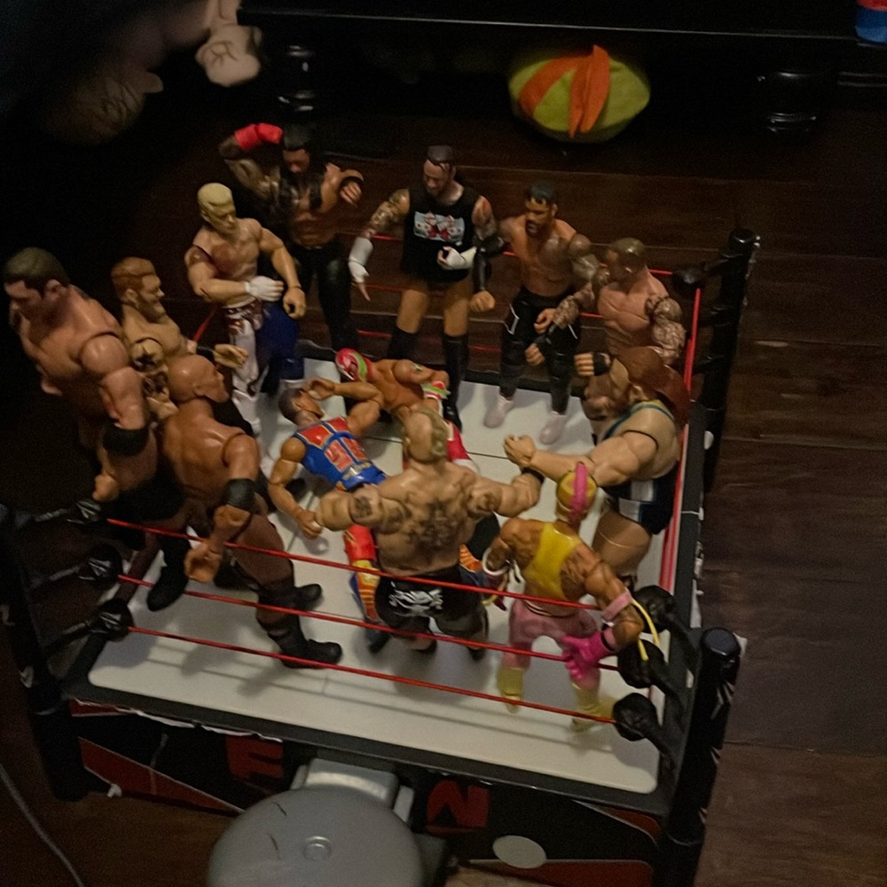 Selling wwe figures ( comes with 13 action figures + a wwe ring )